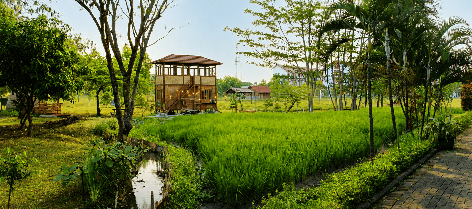 Garden View