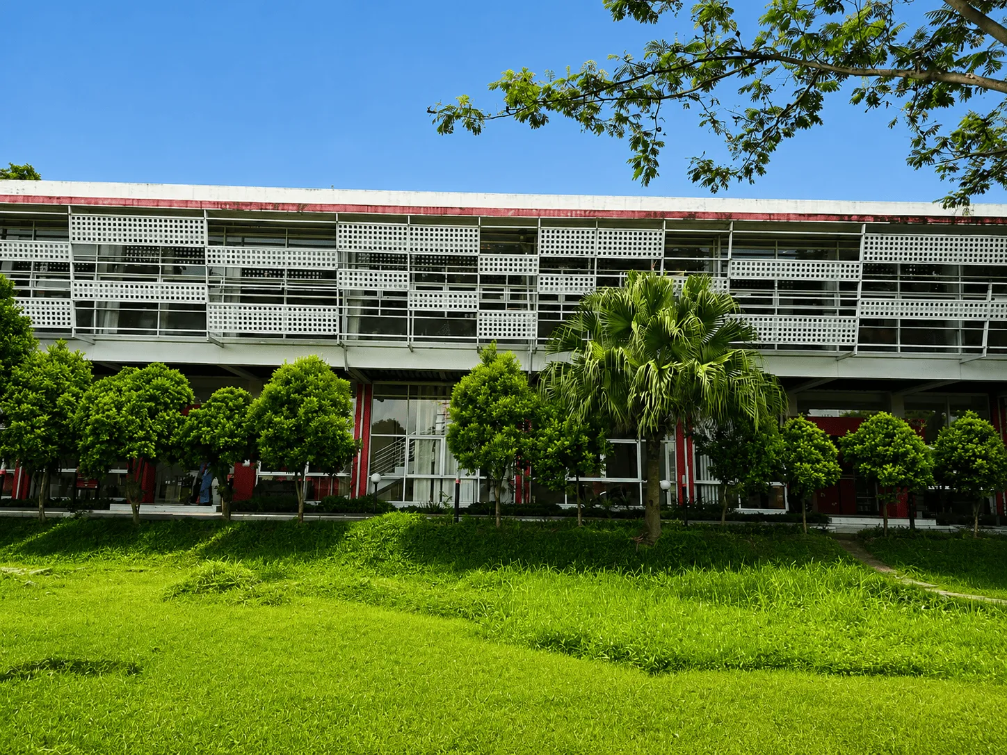 Jalur Pepohonan