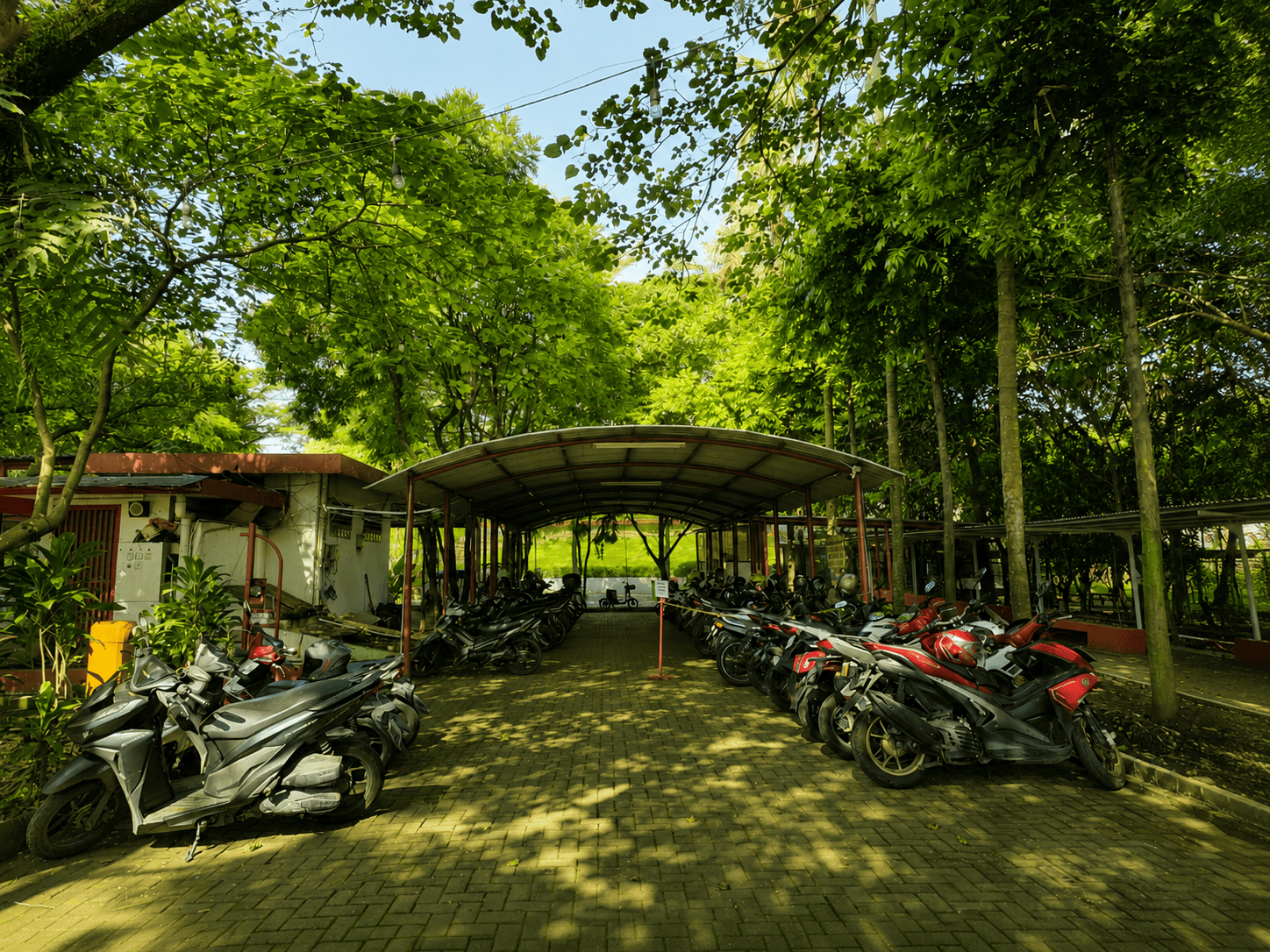 Shaded Parking