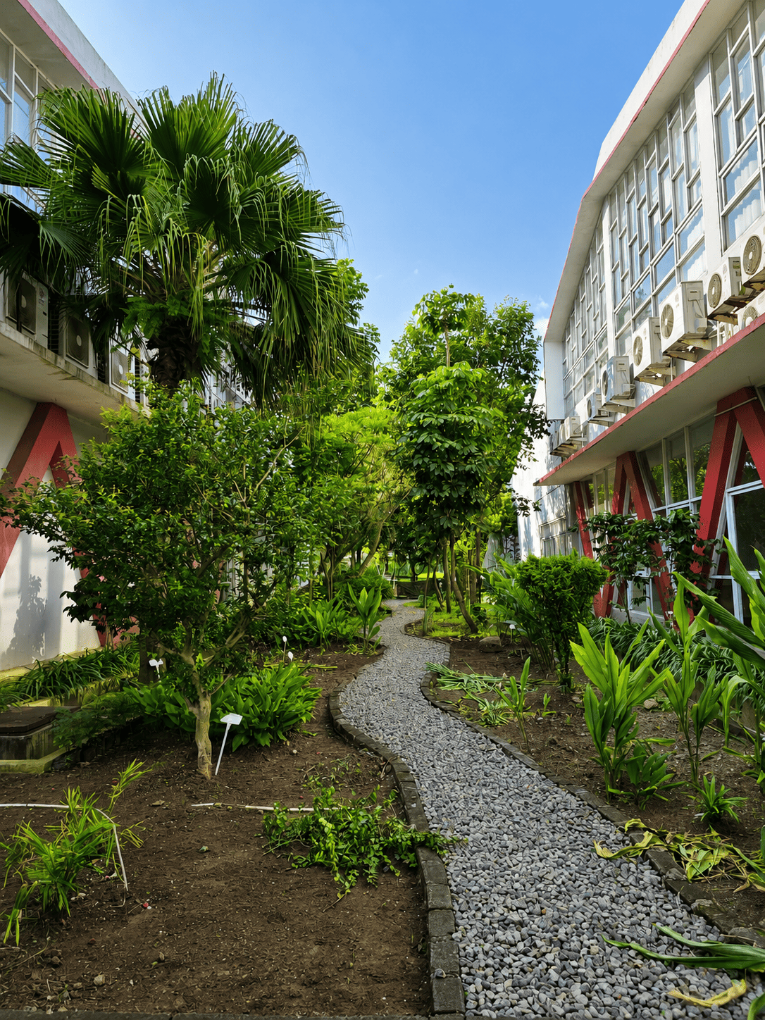 Medicinal Plant Garden