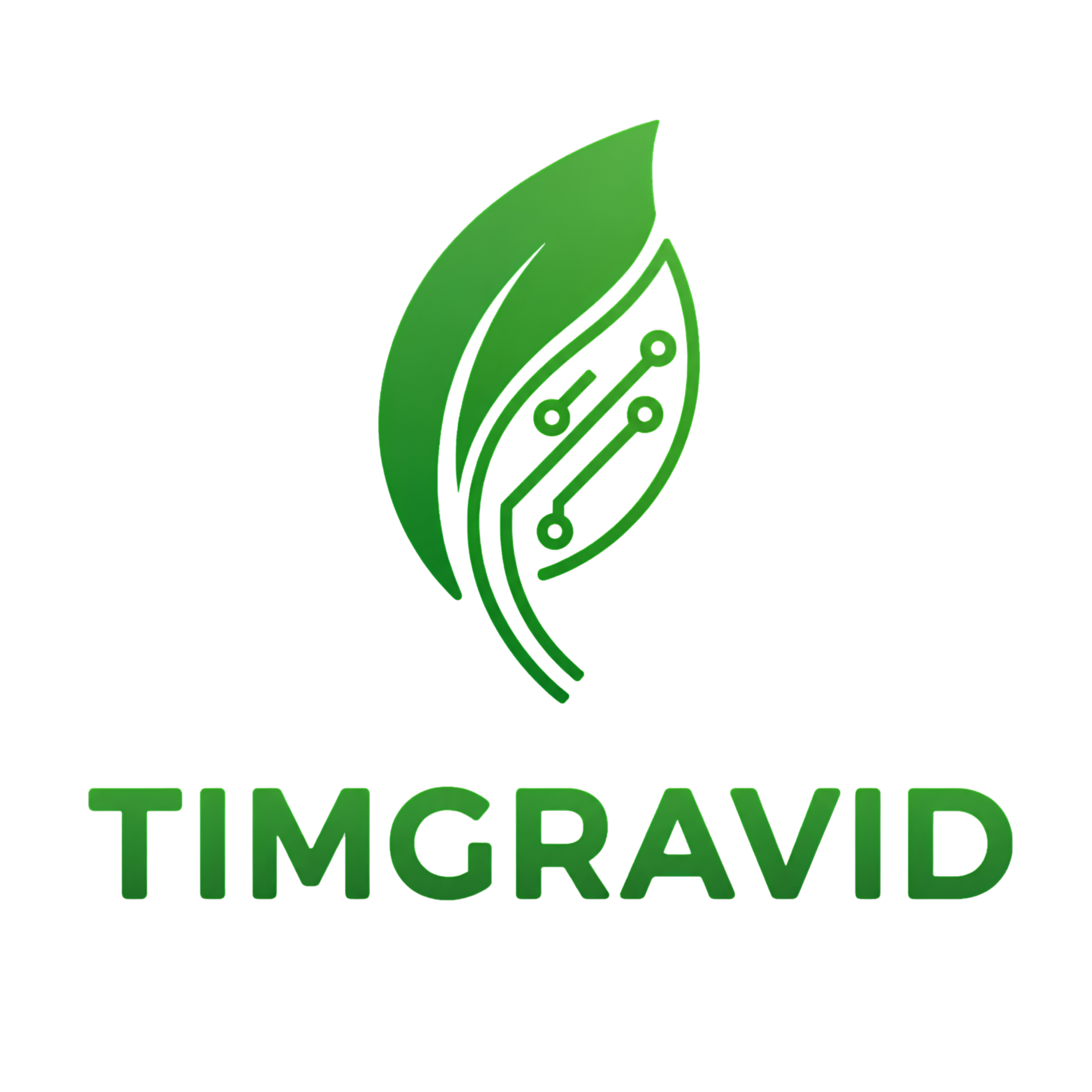 Website TIMGRAVID V.2